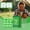 Green#1, variant on 12 Pieces Snake Repellent Ball,The Long-lasting Performance And Weather Resistance Form An Effective Barrier, Preventing Snakes From Entering Your Yard,Garden or Campsite