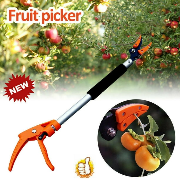 Long 2024 reach secateurs