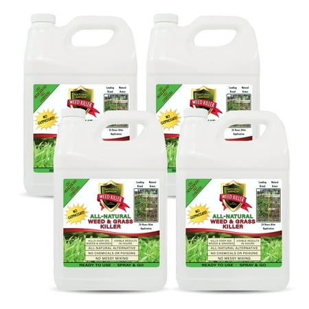 Natural Armor Weed & Grass Killer All-Natural Concentrated Formula. Contains No Glyphosate. Case of (4) Gallon