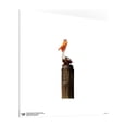 thumbnail image 3 of Gallery Pops Disney Pixar Finding Nemo - Nigel Wall Art, Unframed Version, 12" x 12", 3 of 5
