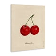 thumbnail image 2 of Stupell Industries Victorian Cherry Fruit Portrait Canvas Art, 30 x 40, by Danielle Murray, 2 of 8