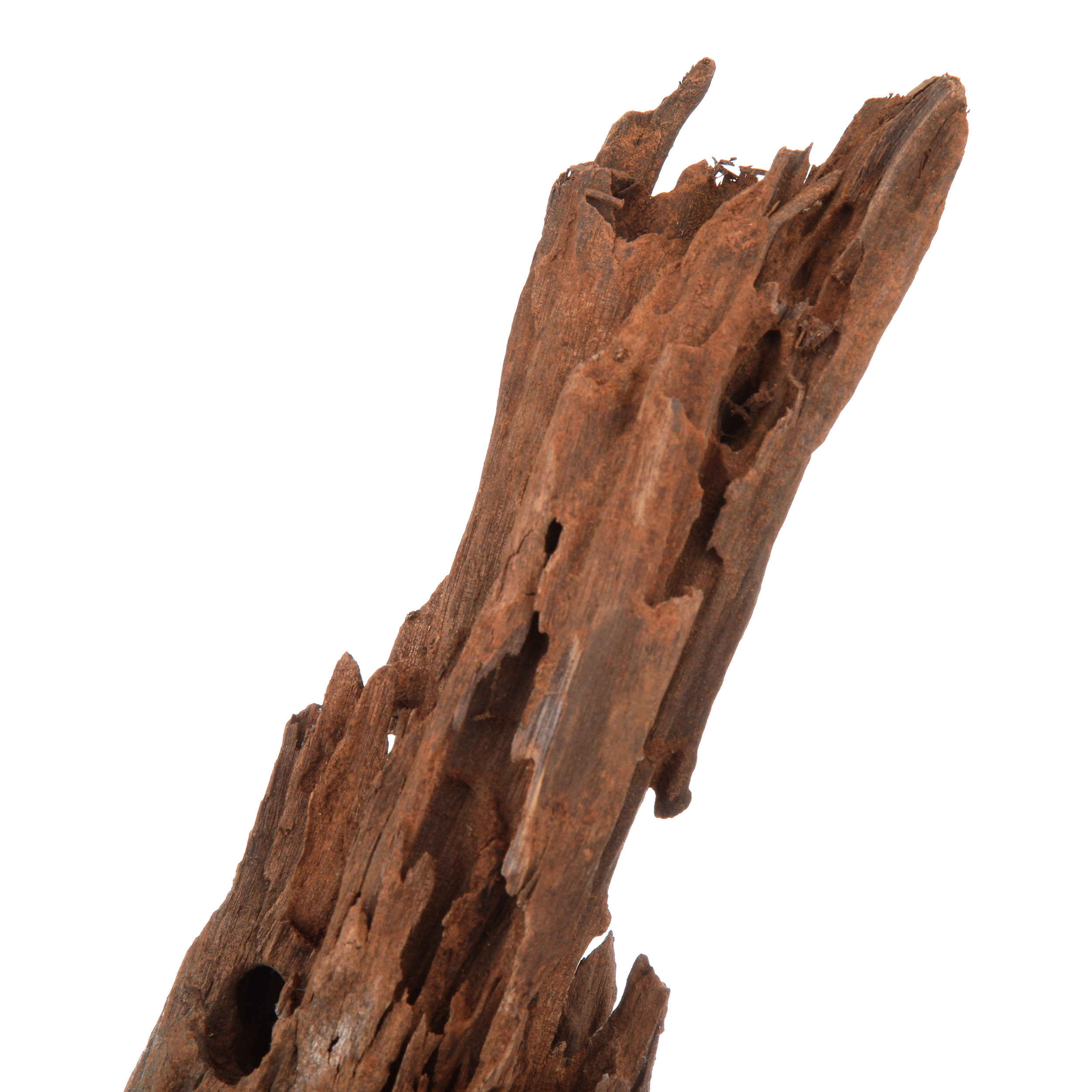 Galapagos Sinkable Driftwood, Natural, Medium Large 14-16in - image 5 of 6