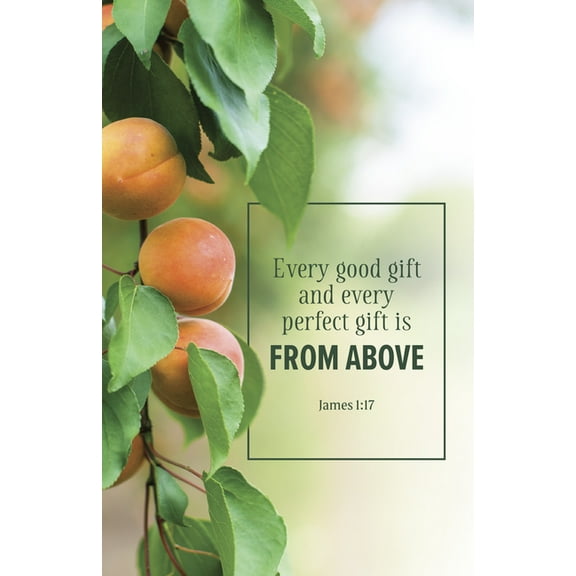 Evangelism Bulletin: Every (Package of 100): James 1:17 (Kjv), (Paperback)