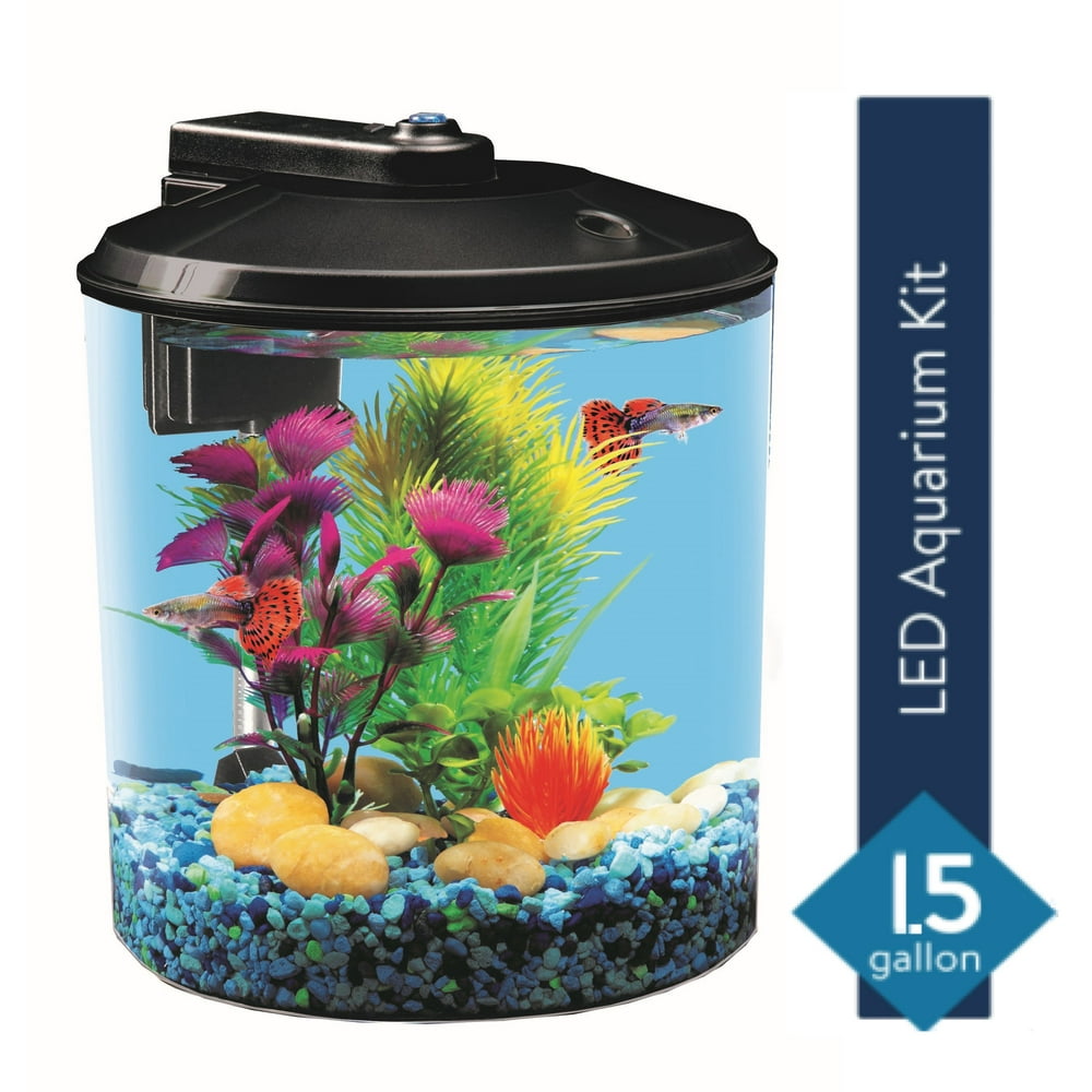 Aqua Culture 1.5Gallon Aquarium Starter Kit with LED Lighting and Internal Power Filter, Ideal