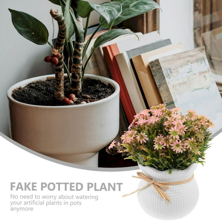 ceramic flower planters Imprint Painted Ceramic Planters – Letifly Lights & Decor