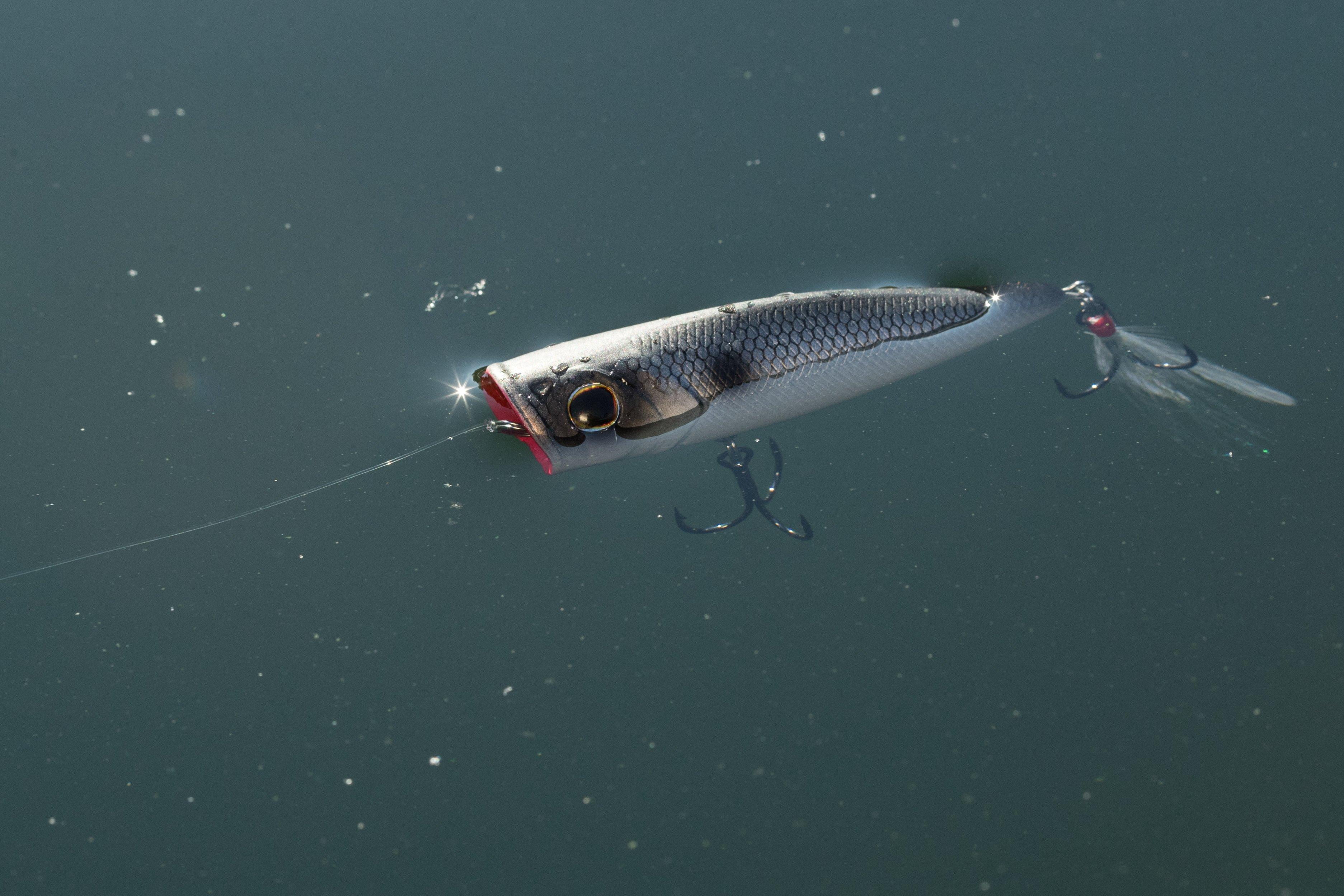 Berkley Bullet Pop Topwater Fishing Lure, MF Shad, 2/5 oz