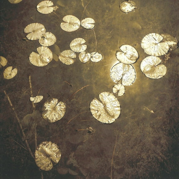 Northwoods Improvisers - Fanfares - Music & Performance - CD