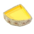 thumbnail image 1 of koolsoo Bol d'Eau Reptile Coin en Résine Plat pour Tortue Tortue L, 1 of 9