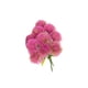 thumbnail image 2 of Ramos de plástico Billuyoard 10 piezas Taraxacum simulado decoración rosa, 2 of 6