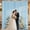 Baby Blue, variant on Sage Green Parties Backdrop Curtains: 30x10ft Polyester Photo Backdrop Drapes Fabric - Wedding Ceremony Party Home Window Decorations
