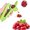 Green, variant on Cherry Pitter Tool, Heavy-Duty Stainless Steel Pitting Tool, Portable Cherries Corer Stoner Seed Tool with Lock Design, Fruit Pit Remover for Cherry Jam(Black)