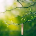 thumbnail image 4 of MIANGASTORE 10Pcs Hanging Copper Plant Labels Reusable Metal Plant Tags Tree ID Tags Pot Label Tag Marker, 4 of 9