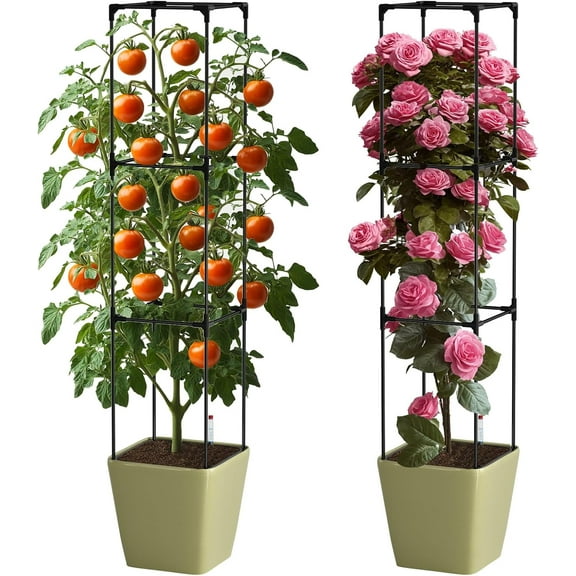 SUNYRISY 2Pack Planter Box with Tomato Cage, Self Watering Tomato Planter Box with Trellis, Raised Garden Bed with Wheels for Climbing  Vegetable Vine Flowers Outdoor Patio, Sage Green