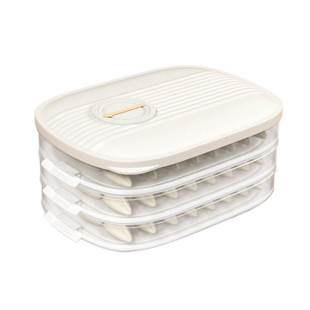 Food Storage Holder Anti-stick Moisture-Proof High Capacity Good Sealing 3D Frosted Bottom Storage BPA Free Quick Froze Dumpling Storage Box for Kitchen