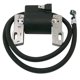 thumbnail image 1 of Bobina de encendido del motor de bobina de cortacésped Briggs Stratton 395492,395326, 1 of 5
