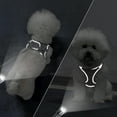 thumbnail image 5 of No Pull Dog Harness and Leash set No Choke Reflective Pet Vest Adjustable Breathable Mesh Harnesses for Small Dogs Cats Walking, 5 of 6