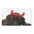 thumbnail image 2 of MKHERT Adorable Boxer Doormat Non-slip Bath Mat Floor Mat 30x18 inch, 2 of 3