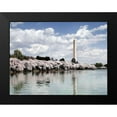 thumbnail image 2 of Highsmith, Carol 14x12 Black Modern Framed Museum Art Print Titled - Washington Monument, Washington, D.C. - Vintage Style Photo Tint Variant, 2 of 5