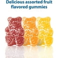 thumbnail image 2 of Digestive Advantage, Probiotic Gummy for Kids, 60 Gummies, Gluten-Free, Survives 100x Better, Assorted Fruit Flavors, Supports Digestive Health in Children, 2 of 9