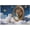 500 PCS, variant on 500 Piece Magic Lion Cat Cute Fantasy Kitten Snow Puzzle for Adults – Challenging DIY Home Decor, Family Game Night Interactive