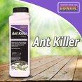 thumbnail image 2 of Bonide Ant Killer Granules Insect Killer Granules 1 lb, 2 of 4