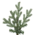 thumbnail image 2 of Vickerman 7.5' Princeston Frasier Fir Artificial Christmas Tree Unlit, 2 of 2