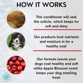 thumbnail image 2 of 16 fl oz Dog Moisturizing Conditioner - Perfect Detangler for Deshedding & Itchy Dogs - Coconut & Oatmeal Infused Dog Conditioner for Problematic Coats, 2 of 4