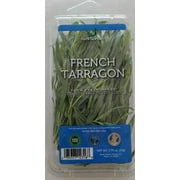 Tarragon Fresh Herb
