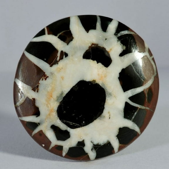 78.80Cts Natural Black Septarian Fossil Round Cabochon Gemstone