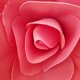 thumbnail image 1 of Flor de espuma de fondo plano, flor de simulación, pared adhesiva, flor falsa, diseño del sitio para eventos de bodas, planta decorativa para pared, 1 of 6