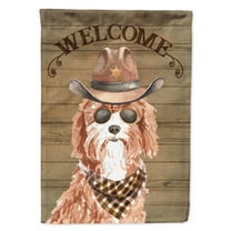 Carolines Treasures CK6303GF Cavapoo Country Dog Flag Garden Size  Small multicolor
