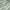 05 Sage Green-new, variant on U by Bedsure Queen Comforter Set - 7 Pieces Sage Green Floral Bedding Sets Queen Bed in a Bag with Reversible Botanical Flowers Comforter, Sheets, Pillowcases & Shams (Queen, Sage Green)