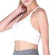 thumbnail image 2 of Sujetador deportivo con espalda en Y para mujer: sujetador de yoga con tirantes acolchados y sujeción media, copas extraíbles, nailon y spandex, tallas S-XL, 2 of 5
