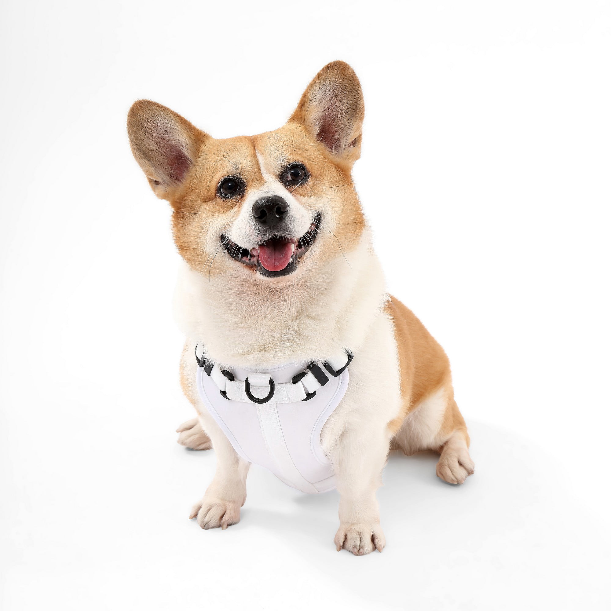 THE LICKER STORE Arlo Medium Adjustable Soft Padded No Pull Pet Harness with 3 Buckles and 3 Leash Clips, White, HNS1002F