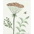 thumbnail image 2 of Great Art Now Springtime III Warm by Sara Zieve Miller, Framed Wall Art, 16.5W x 18.75H, 2 of 2