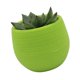 thumbnail image 4 of Maceta Suculenta Mini Contenedor De Flores Para Plántulas Maceta De Plástico Para Jardín Patio Balcón, 4 of 7