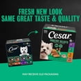 thumbnail image 4 of Cesar Loaf In Sauce Poultry Flavors Adult Wet Dog Food Variety Pack, 3.5 Oz Trays, 24 Ct., 4 of 14