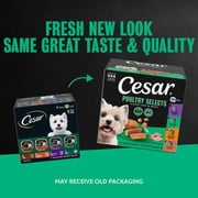 Cesar Loaf In Sauce Poultry Flavors Adult Wet Dog Food Variety Pack, 3.5 Oz Trays, 24 Ct.