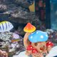thumbnail image 4 of unbranded Acuario Con Cueva De Hongo En Resina Para Objetos Y Peces, 4 of 6