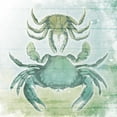 thumbnail image 3 of Grey, Jace 12x12 Black Modern Framed Museum Art Print Titled - Sea Foam Crabs, 3 of 5