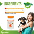 thumbnail image 2 of Vetoquinol Epakitin Pet Antioxidant Nutritional Supplements, 300gm, 2 of 7