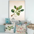 thumbnail image 2 of Designart 'Ancient London Plants I' Farmhouse Framed Canvas Wall Art Print, 2 of 5