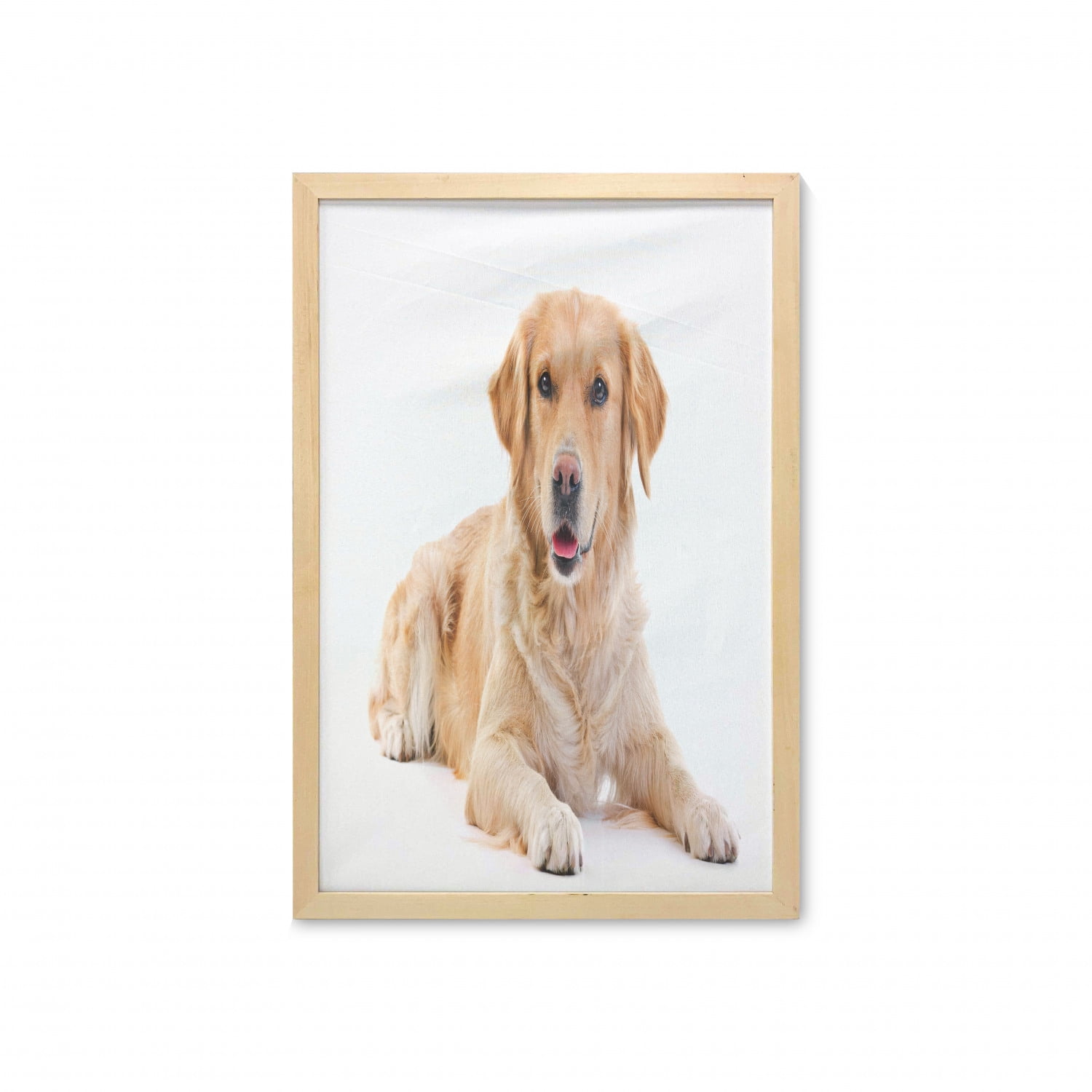 Is pedigree good for golden cheap retrievers
