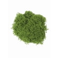 thumbnail image 3 of Bgsha Realistic Faux Moss for Model Making 50g 100g 200g Enhances Creativity, 3 of 10