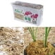 thumbnail image 1 of 75g/400g Sphagnum Moss Moisturizing Organic Fertilizer For Orchid Phalaenopsis, 1 of 4