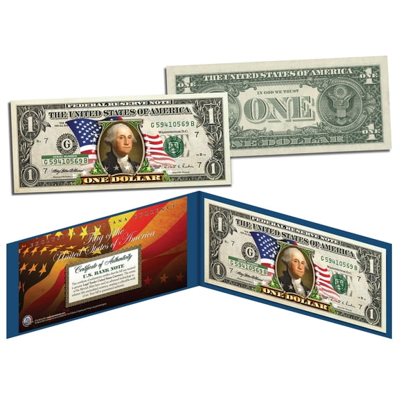 United States of America *Flowing Flag* Legal Tender $1 Bill COLORIZED Currency
