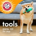 thumbnail image 2 of Arm & Hammer Tools 7.5" Wood Mix Paintbrush Durable Dental Dog Chew Toy, 2 of 9
