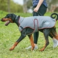 thumbnail image 3 of Weatherbeeta Comfitec Premier Free Parka Deluxe Dog Coat (220g Medium), Maroon (Grey/White Trim), Size: 20", 3 of 5