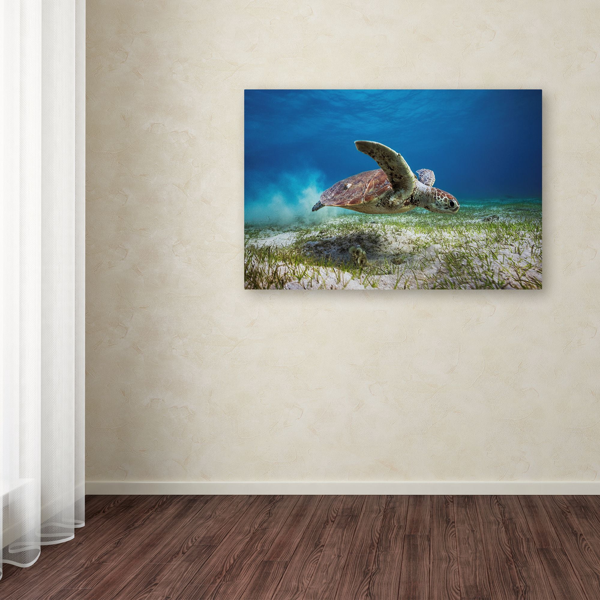 Take Off' Canvas Art by Barathieu Gabriel