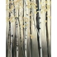 thumbnail image 2 of Hageman, Marilyn 26x32 White Modern Wood Framed Museum Art Print Titled - Golden Birch II, 2 of 4